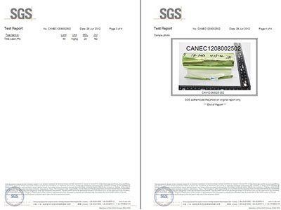 SGS檢測報告